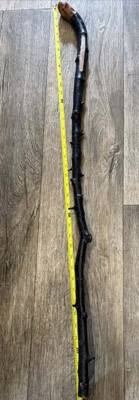 VNTG 39